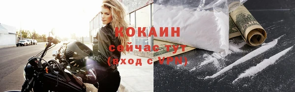 кокс Вяземский