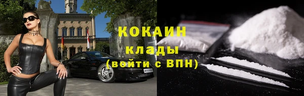 бошки Горняк
