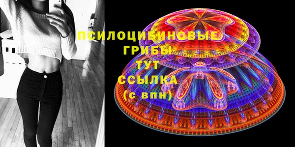 бошки Горняк