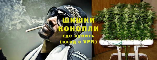 бошки Горняк