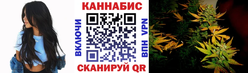 купить закладку  Мценск  МАРИХУАНА план 